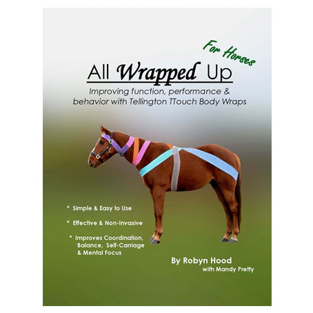 All-Wrapped-Up-for-Horses.jpg